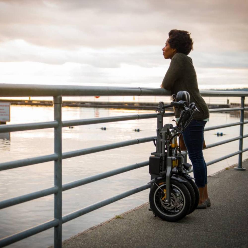 Foldable Electric Three-wheeled E-bike