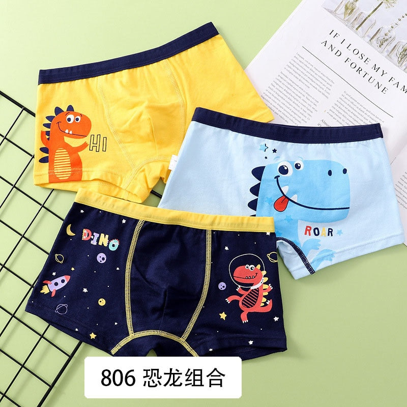 3 Piece Boys Underwear