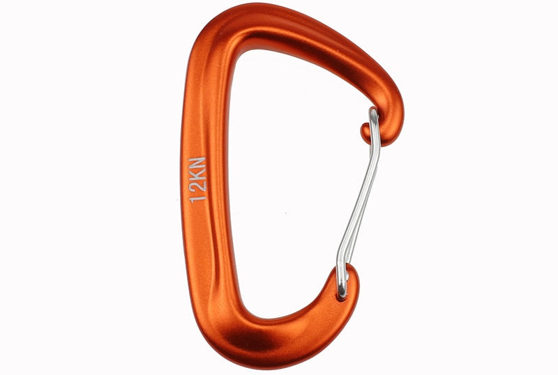 Professional Climbing Carabiner