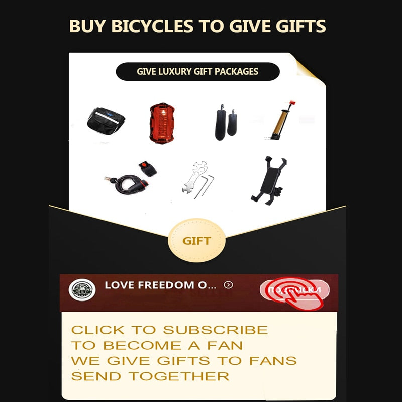 LOVE FREEDOM 4.0 Fat Tire Shock Absorbers Bikes