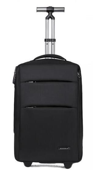 20 Inch Women Travel Trolley Luggage