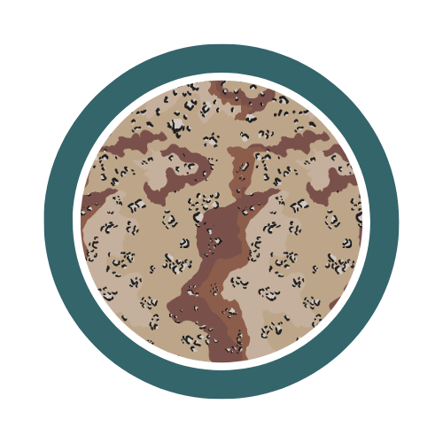 Choccy Chip Camou Hoodies