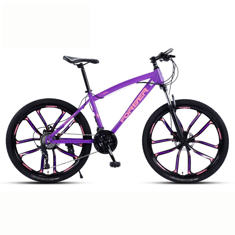 Double Disc Brake Shock Absorption Outdoor Bike